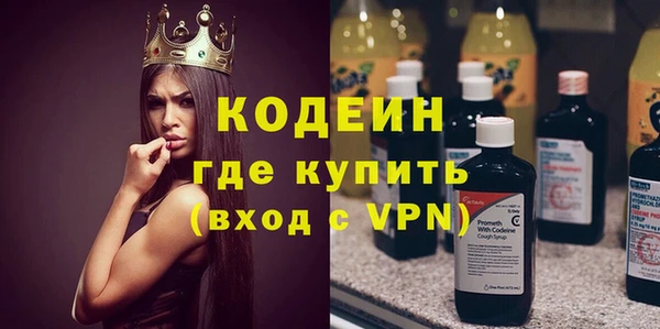 сатива Иннополис