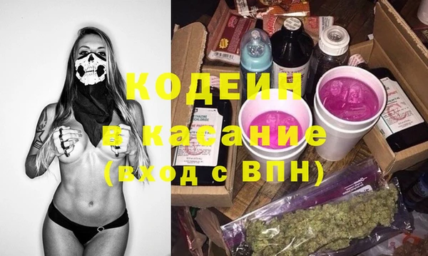 сатива Иннополис