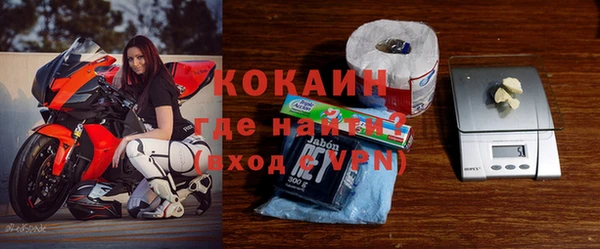 сатива Иннополис