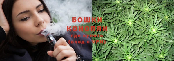 сатива Иннополис