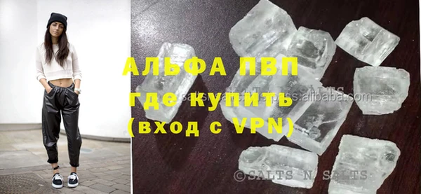 сатива Иннополис