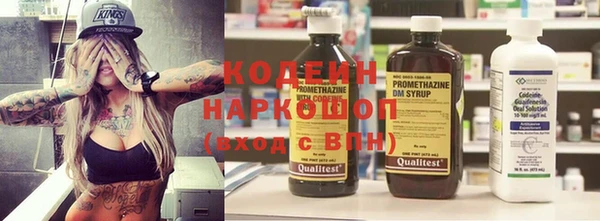 сатива Иннополис
